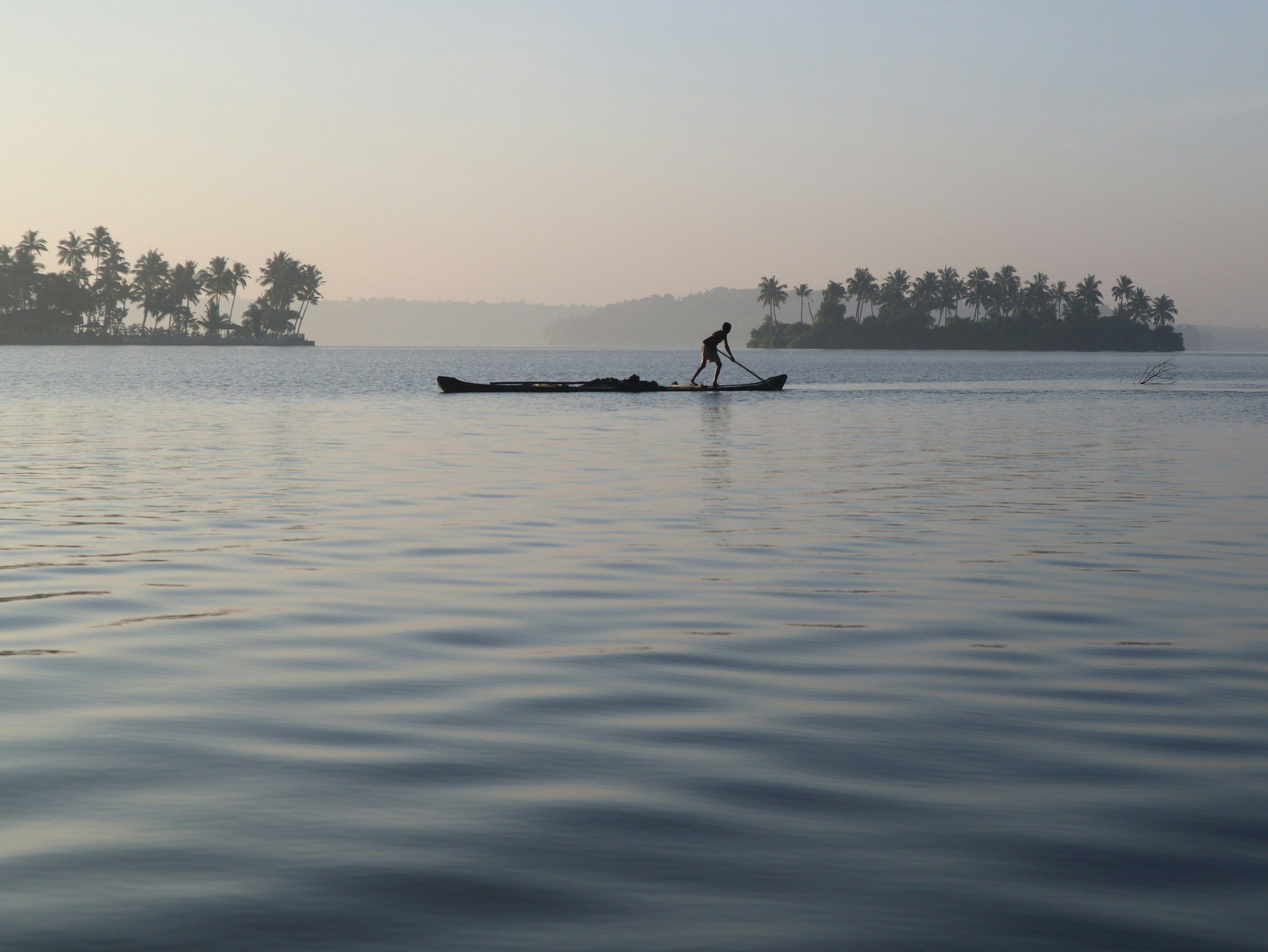 Morning mist over the backwaters near Kochi